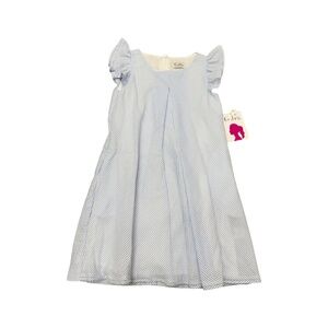 Gabby. NWT Blue Seersucker Ruffle Sleeve Dress